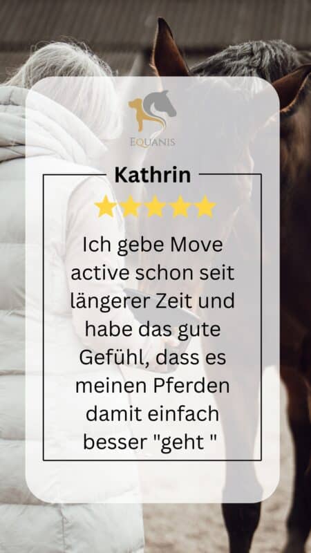 Erfahrungen MoveActive