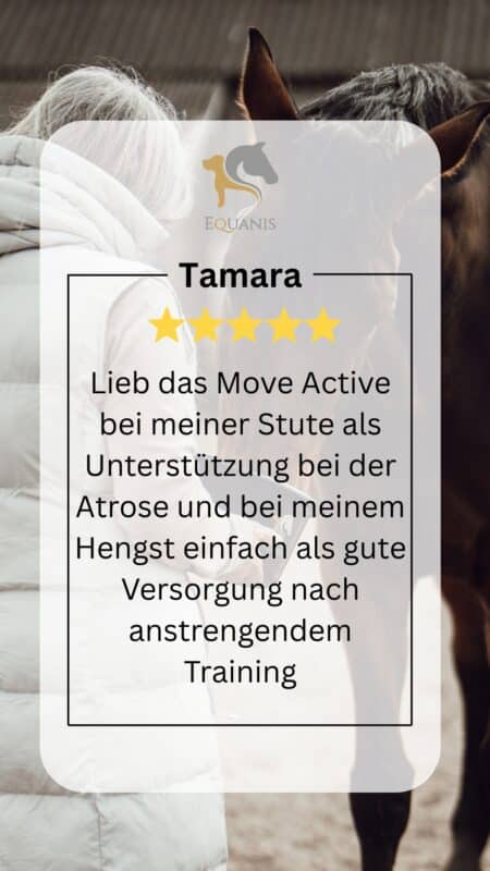 Erfahrungen MoveActive