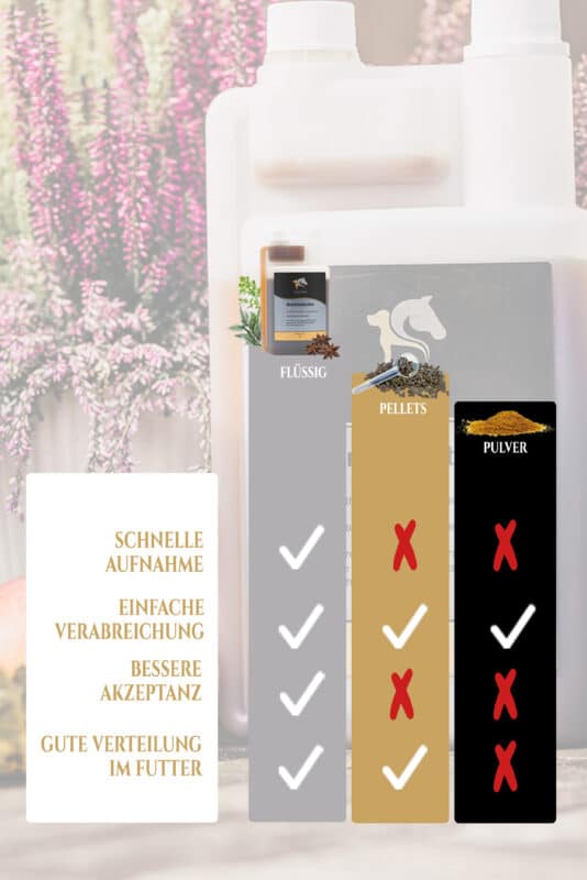 Erfahrungen Equanis