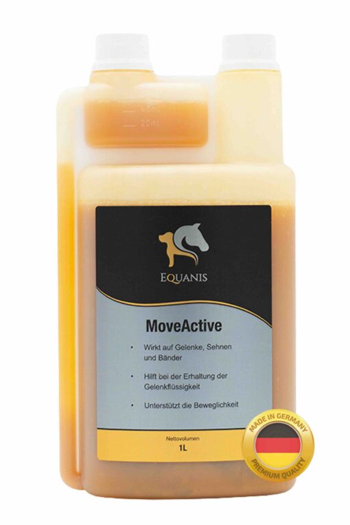 MoveActive