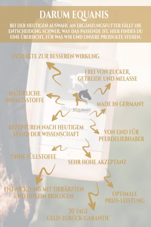 MoveActive - Sehnen, Bänder und Gelenke – Bild 5