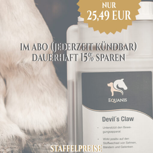 Teufelskralle Pferd