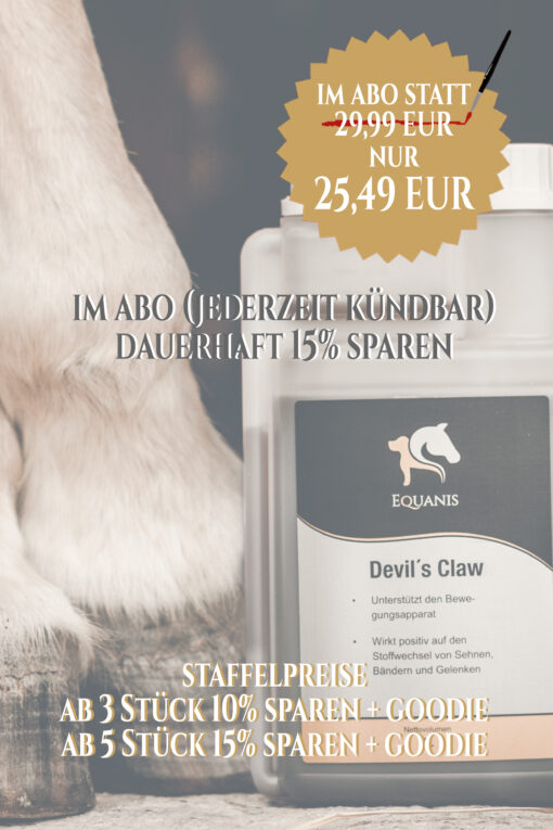 Teufelskralle Pferd