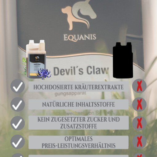 Teufelskralle Pferd