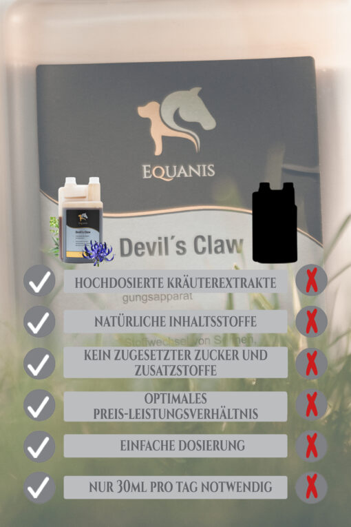 Teufelskralle Pferd