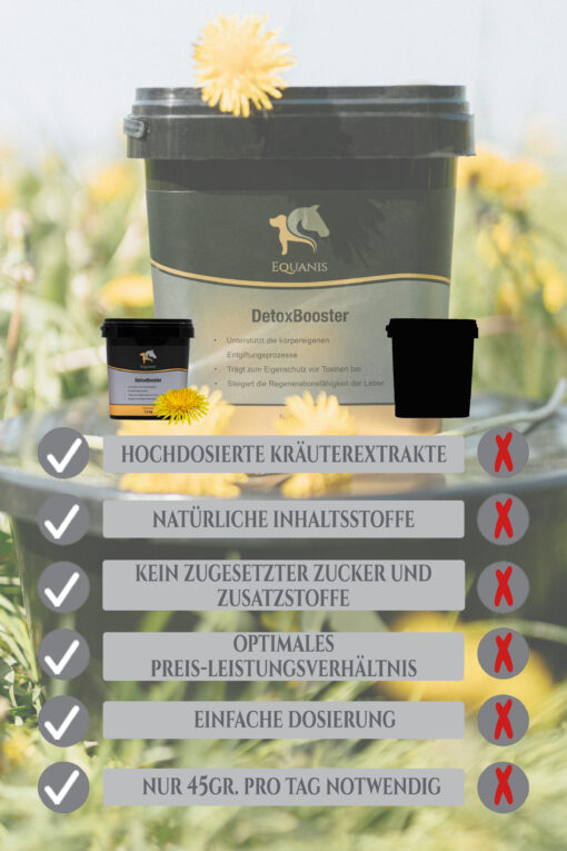 DetoxBooster - Leberkräuter Pferd – Bild 6