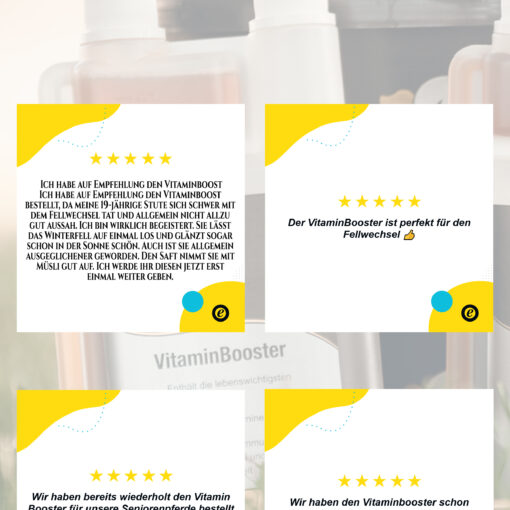 Erfahrung VitaminBooster