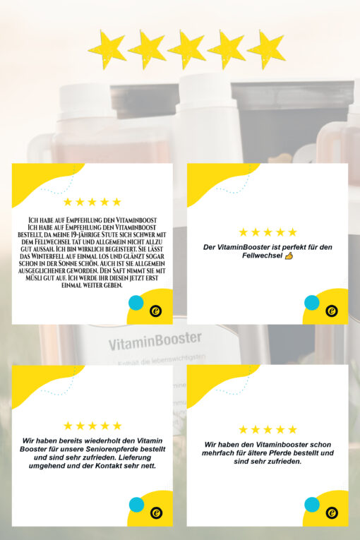 Erfahrung VitaminBooster
