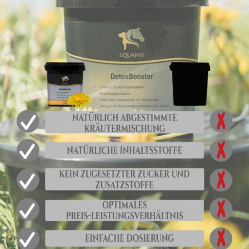Entgiftung Pferd