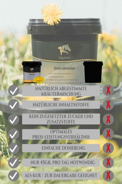Entgiftung Pferd