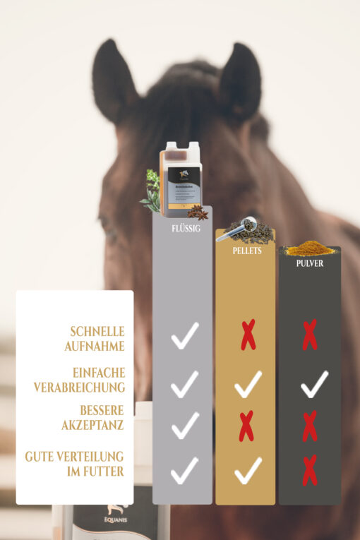 Husten Pferd