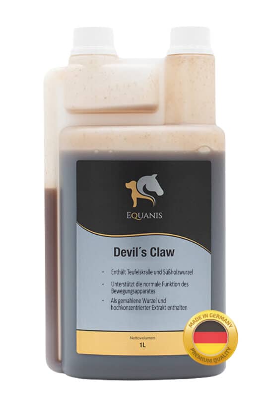 Teufelskralle Pferd