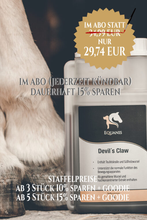 Teufelskralle Pferd
