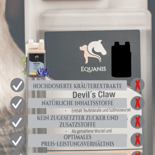 Teufelskralle Pferd