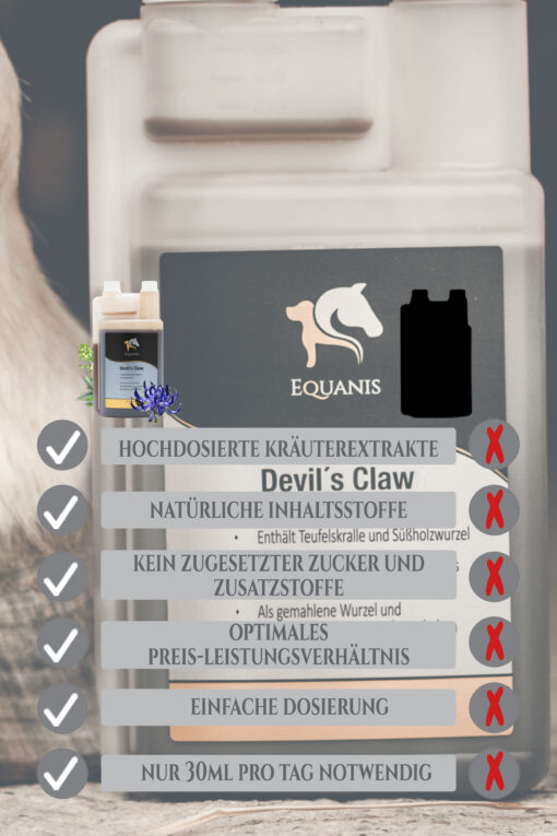Teufelskralle Pferd