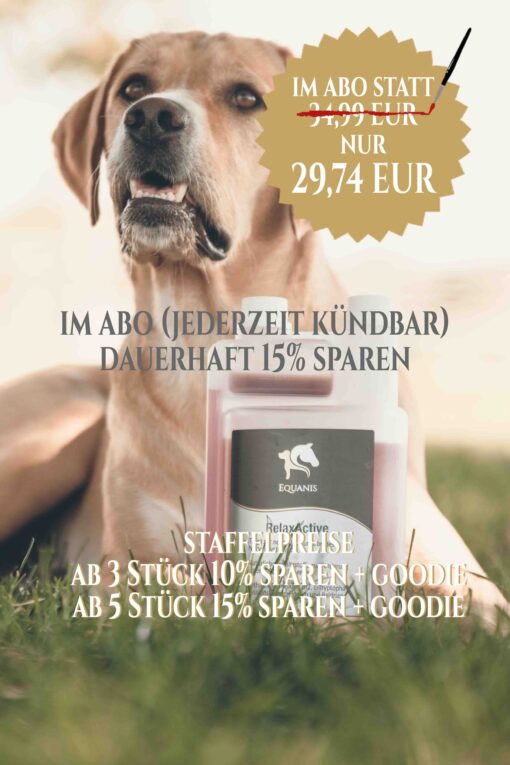 RelaxActive - Nerven Pferd – Bild 7