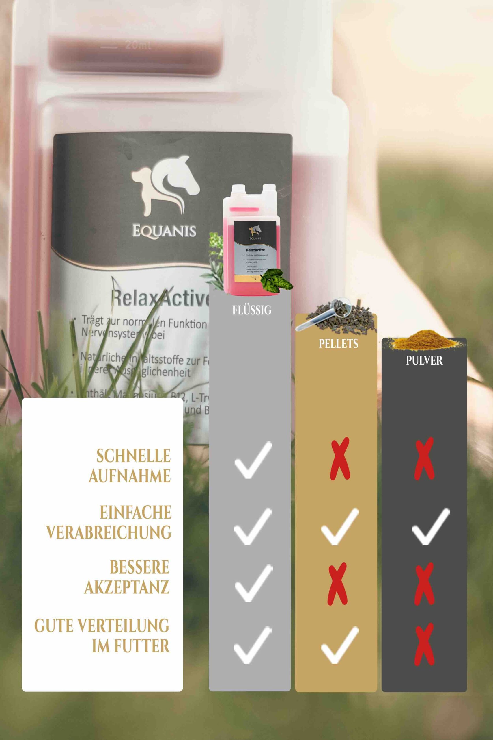 RelaxActive - Nerven Pferd – Bild 5