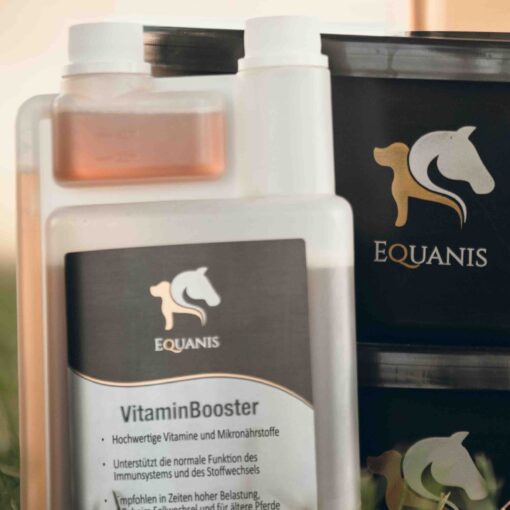 VitaminBooster