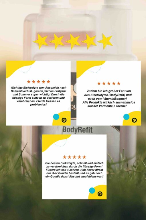Erfahrungen BodyRefit