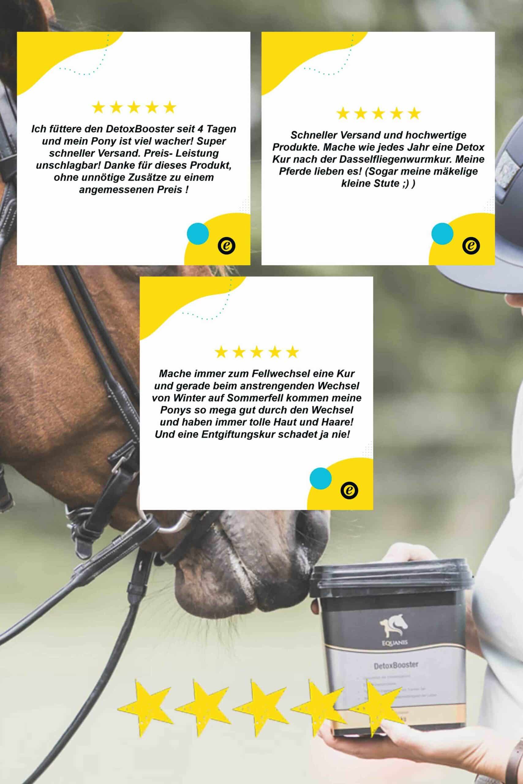 DetoxBooster Erfahrung