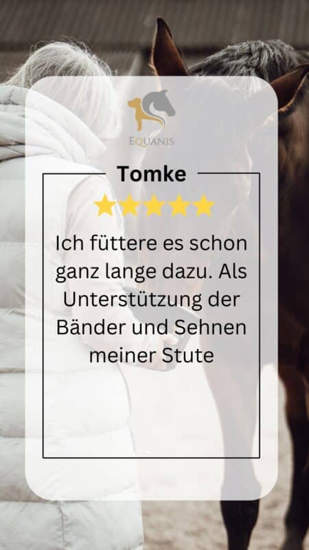 Erfahrungen MoveActive