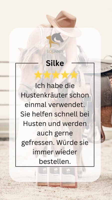 Erfahrung BronchoActive