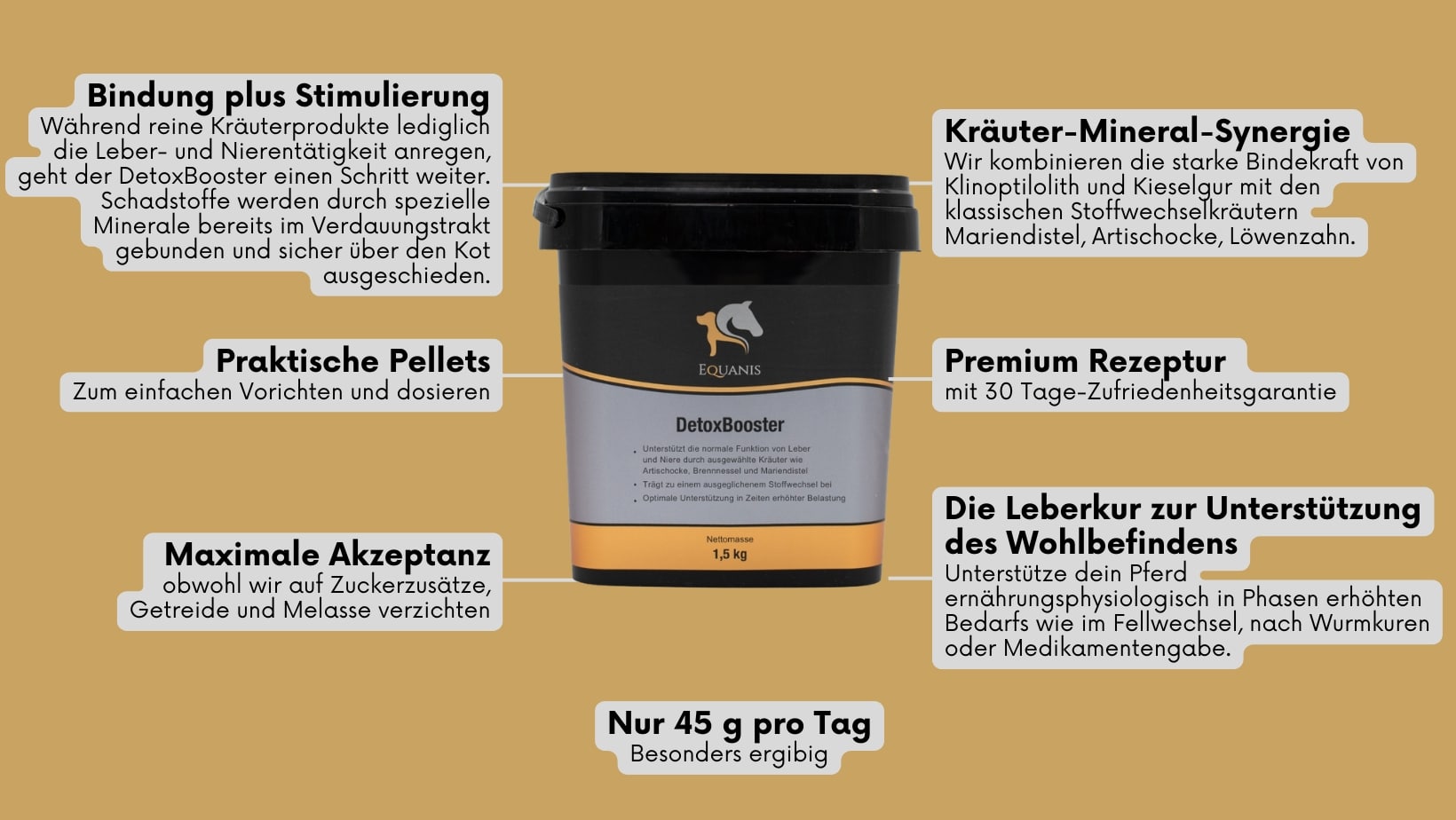 Leberkräuter Pferd