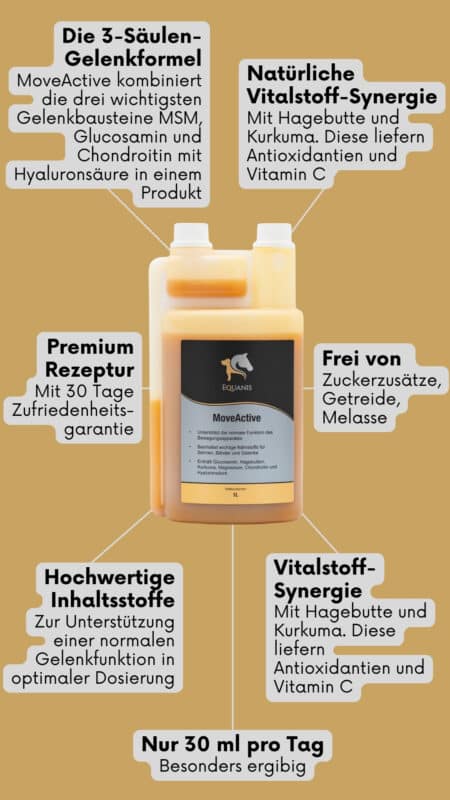 Vorteile MoveActive