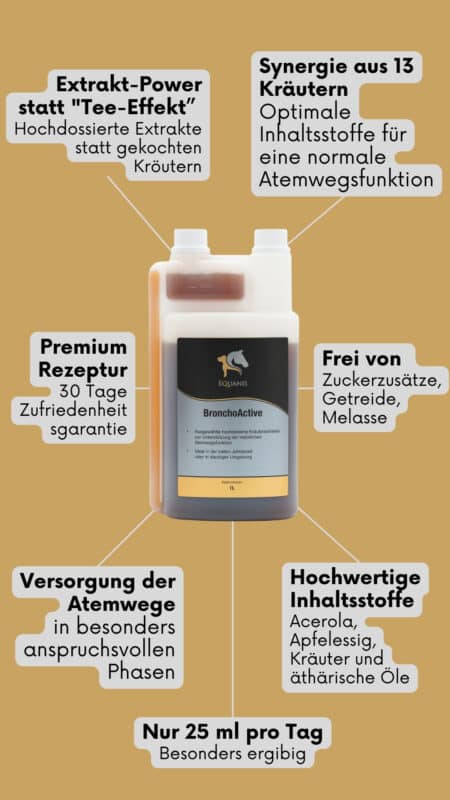 Vorteile BronchoActive