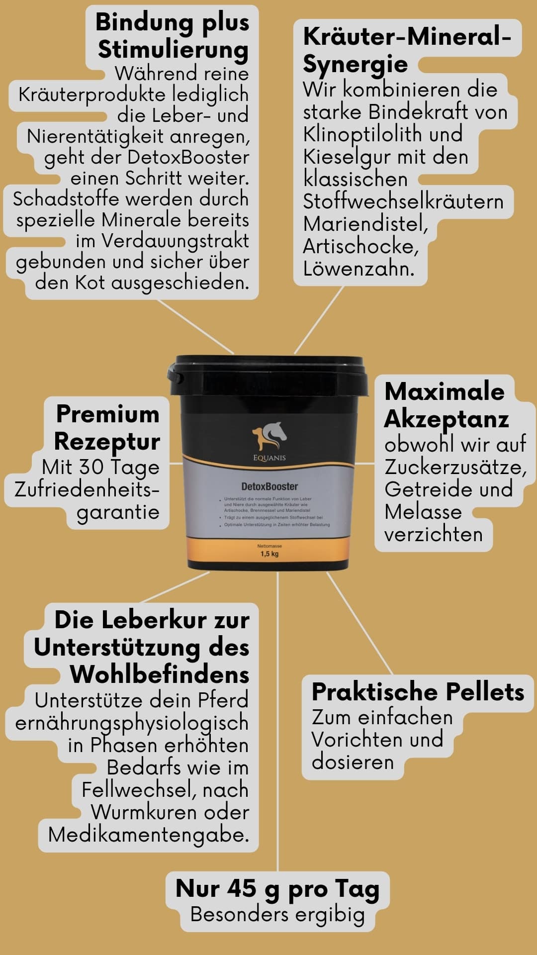 Leberkräuter Pferd