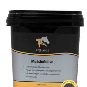 MuscleActive - Muskelaufbau Pferd