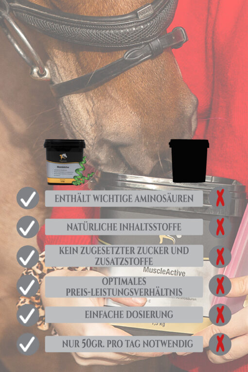 MuscleActive - Muskelaufbau Pferd – Bild 6