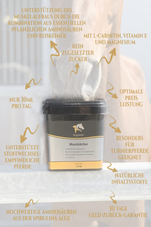 MuscleActive - Muskelaufbau Pferd – Bild 4