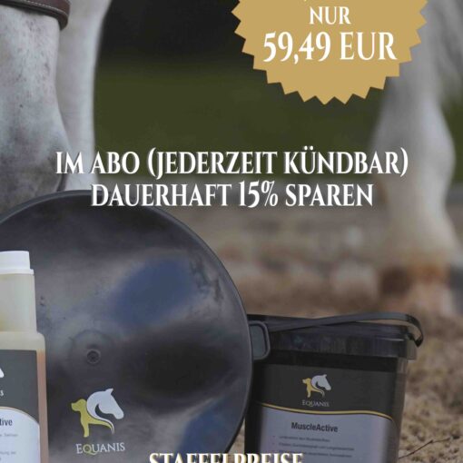 Muskelaufbau Pferd