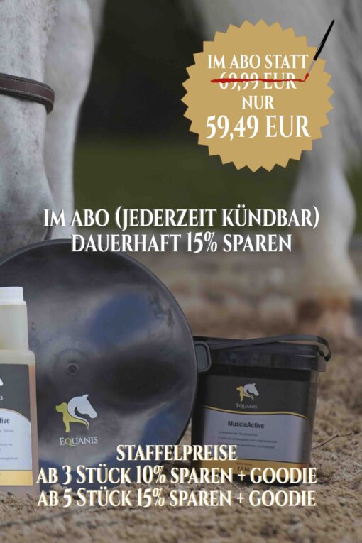 Muskelaufbau Pferd