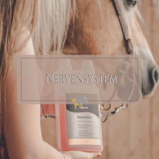 Nervensystem