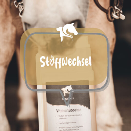 Stoffwechsel