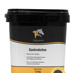 GastroActive - Magen Pferd