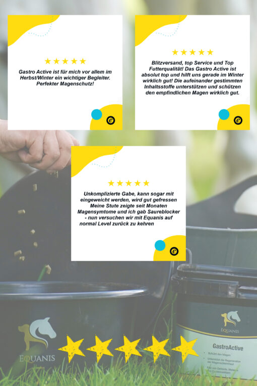GastroActive - Magen Pferd – Bild 4
