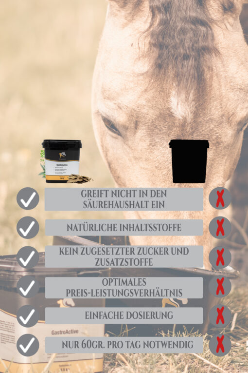 GastroActive - Magen Pferd – Bild 5