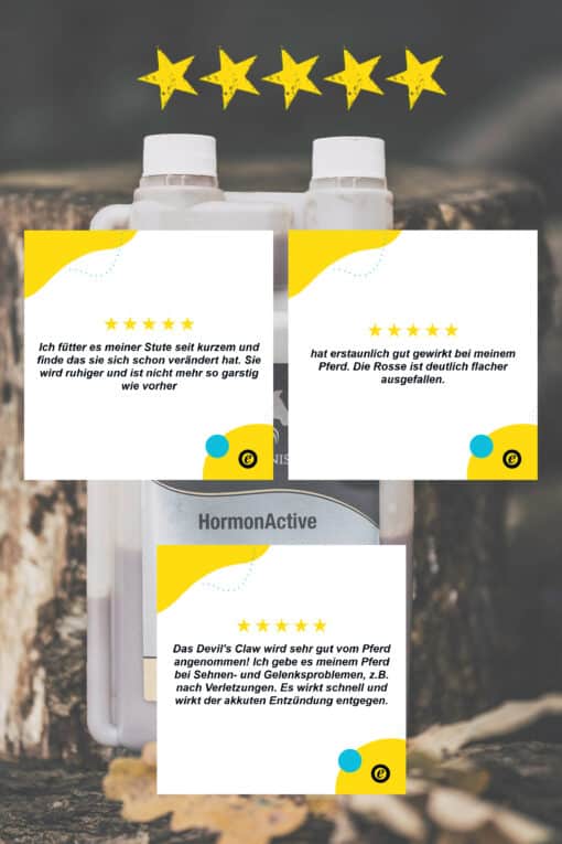 HormonActive - Mönchspfeffer Pferd – Bild 3