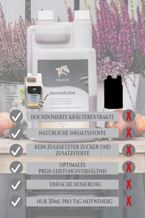 HormonActive - Mönchspfeffer Pferd – Bild 6