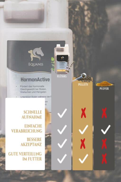 HormonActive - Mönchspfeffer Pferd – Bild 7