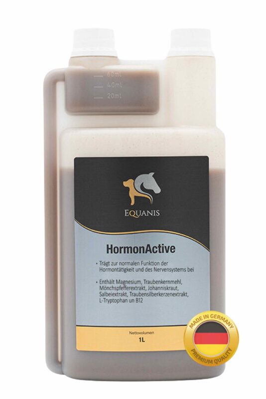 Mönchspfeffer Pferd