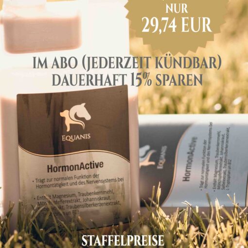 Mönchspfeffer Pferd
