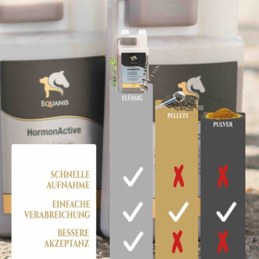 Mönchspfeffer Pferd