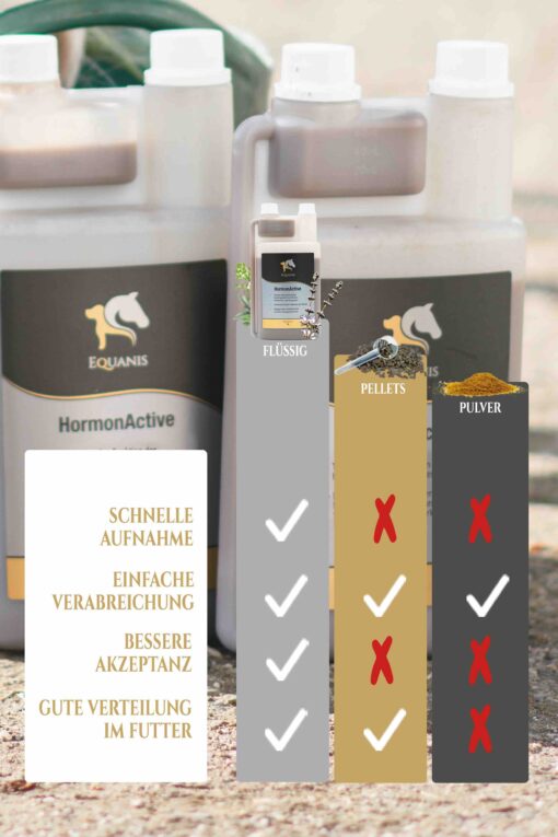 Mönchspfeffer Pferd