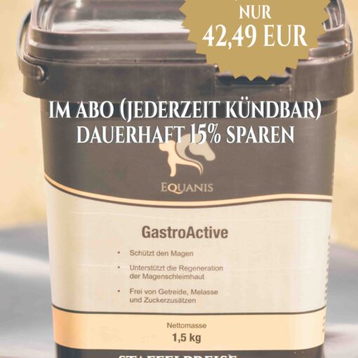 Magengeschwüre Pferd