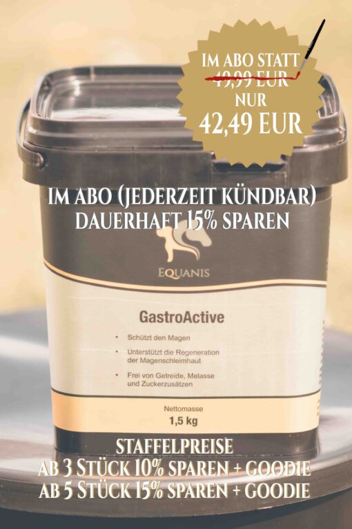 Magengeschwüre Pferd