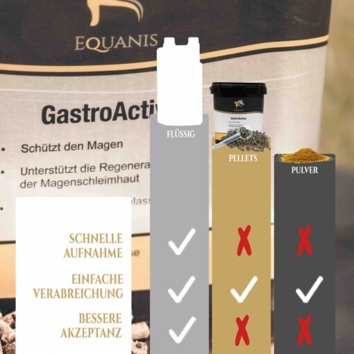 Magengeschwüre Pferd